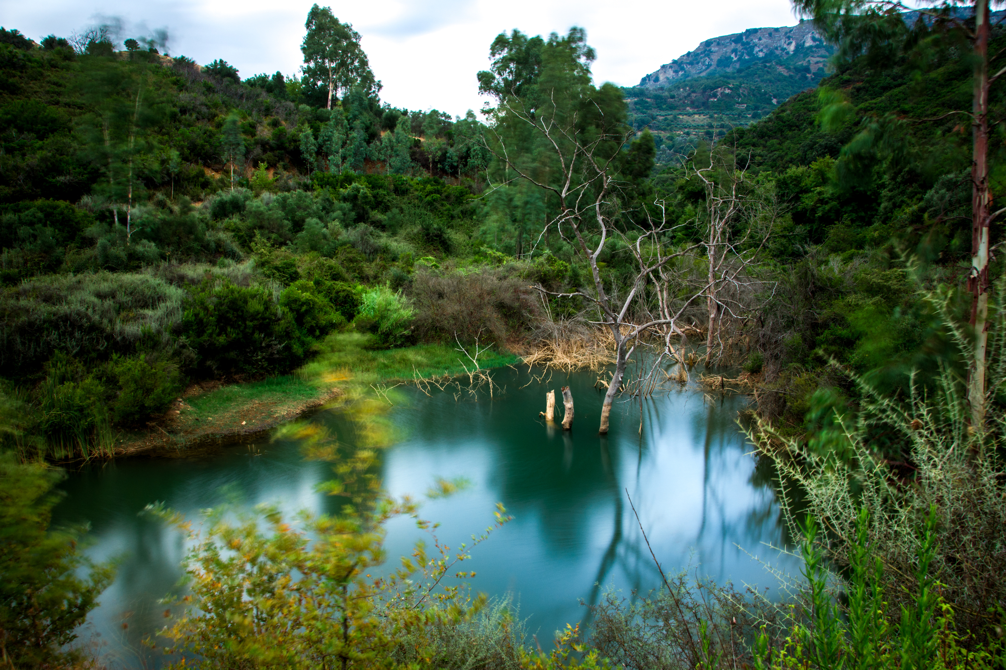 Depositphotos_169738930_l-2015